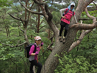 조령산