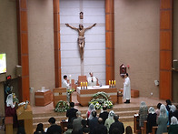 주님부활대축일(2026년 4..