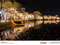 창녕 영산 연지못 야경