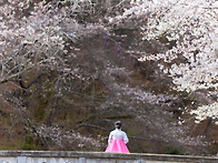 거창 덕천서원 春心