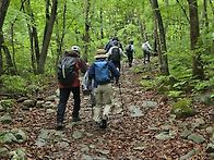 102차 정선 두위봉 명산산..