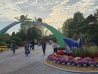 국화축제