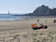 안면도꽃지해수욕장 꽃박람..