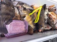 통영서진호＞＞ 3월27일(..