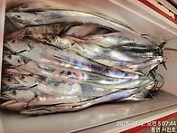 11월2일,통영서진호 14석..