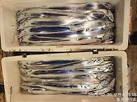 10월30일,통영서진호 14..