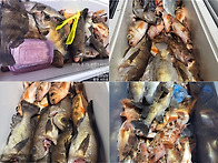 3월15일,통영서진호＞＞ ..