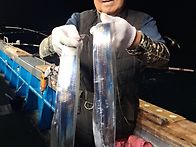 10월18일＜＜통영서진호 ..