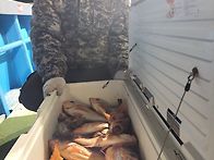 3월28일,통영서진호 14석..