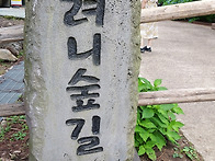 제주 샤려니 슾길