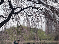 2026 봄, 큰집 나들이 안..