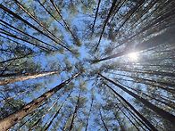 큰집 나들이 사진..