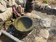 리셋 21 프로젝트..