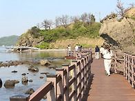 글여사 봄소풍 8