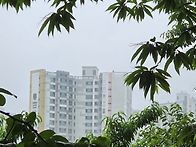 제388차 정기기행 전주 계..