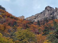 '23,10,16/설악산(한계령..