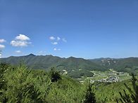 '26,08,06/금산..