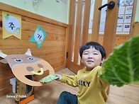 4세 오감놀이-배추&무