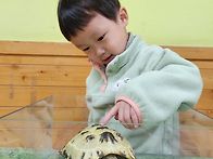 이동동물원 -뉴기니아 앵무..