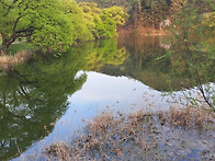 경산시 반곡지17