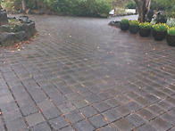 비내리는 한림공원길 14