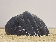 경