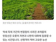 민둥산도 해발이 높다 계절..