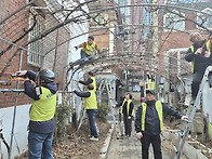 생활복지분과_청포도나무 ..