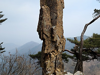 성공은 머릿속이아..
