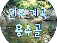 정기산행 99차 원주 백운산..
