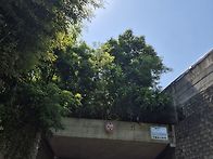 5월30일(토)서울숲,서울국..