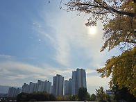 11월7일(금)방이 생태공원..