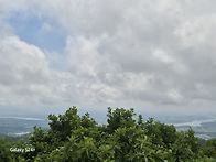 5월 28일(목) 백봉산