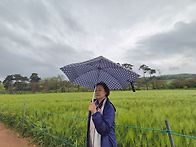 5월1일(목) KTX로 떠나는..