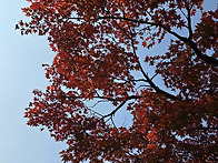 11월7일(금)방이 생태공원..