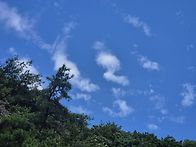 8월11일(화) 관악산 자하..