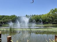 서울숲이야기