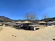 4월2일 ( 목) 성주나들이