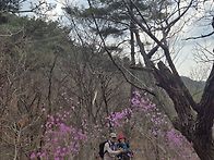 4월4일(토)북한산야생화