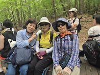 8월 8일(토) 남산 산책