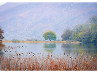 11월13일(목)양평여행 다..