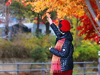 능내폐역/ 다산길/ 경정공..