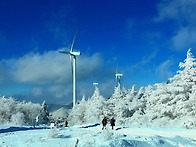 태기산에 핀 천상의 설화