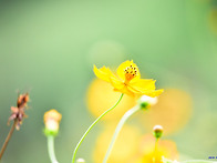 고석정 &#128144;