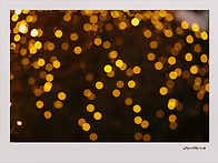 12/8 시몬스테라스