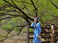 대청호 은빛 물결위에 핀 ..