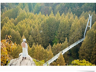 11월 7일 (금) 장태산 (..