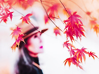 11월26일(수) 낙엽 밟는 ..