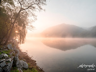 남이섬의 가을아침