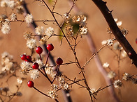"소래습지공원" bgm.